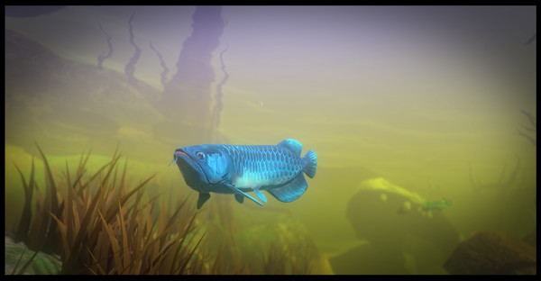 Feed and Grow: Fish Free Download
