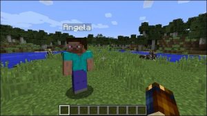 Minecraft Windows 10 Edition Online
