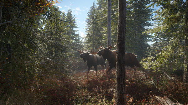 theHunter: Call of the Wild Gameplay