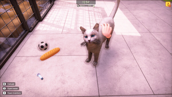 Animal Shelter 2 gameplay