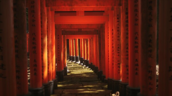 Lushfoil Photography Sim Free Download