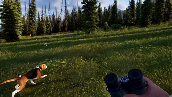 Way of the Hunter 2 Gameplay