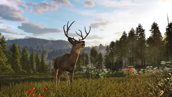 Way of the Hunter 2 Online