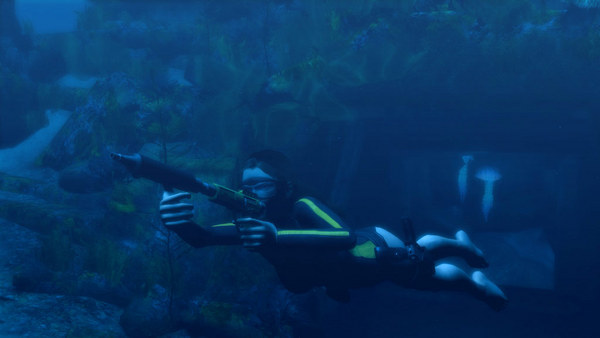 Tomb Raider: Underworld Gamelay